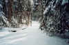 Fresh powder