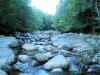 John's Brook
