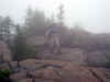 Foggy