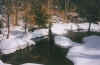 Looks wet and cold