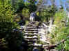 Going Up?