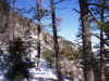 Cliffs