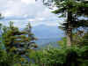 Whiteface